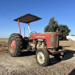 Massey Ferguson 65 . . 