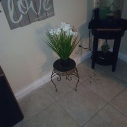 Plant With Stand 