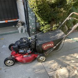 Toro Commercial
