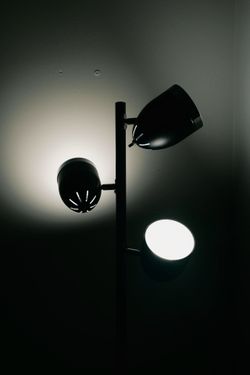 Cheap Standing Lamp (Light Bulbs Included)