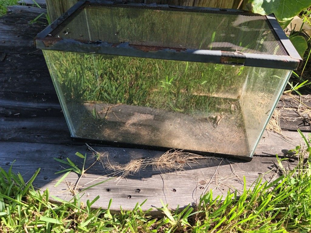 Fish Tank