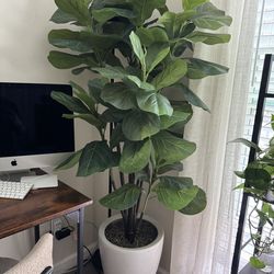 Faux Fig Tree