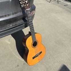Sierra S726 Acoustic Guitar 