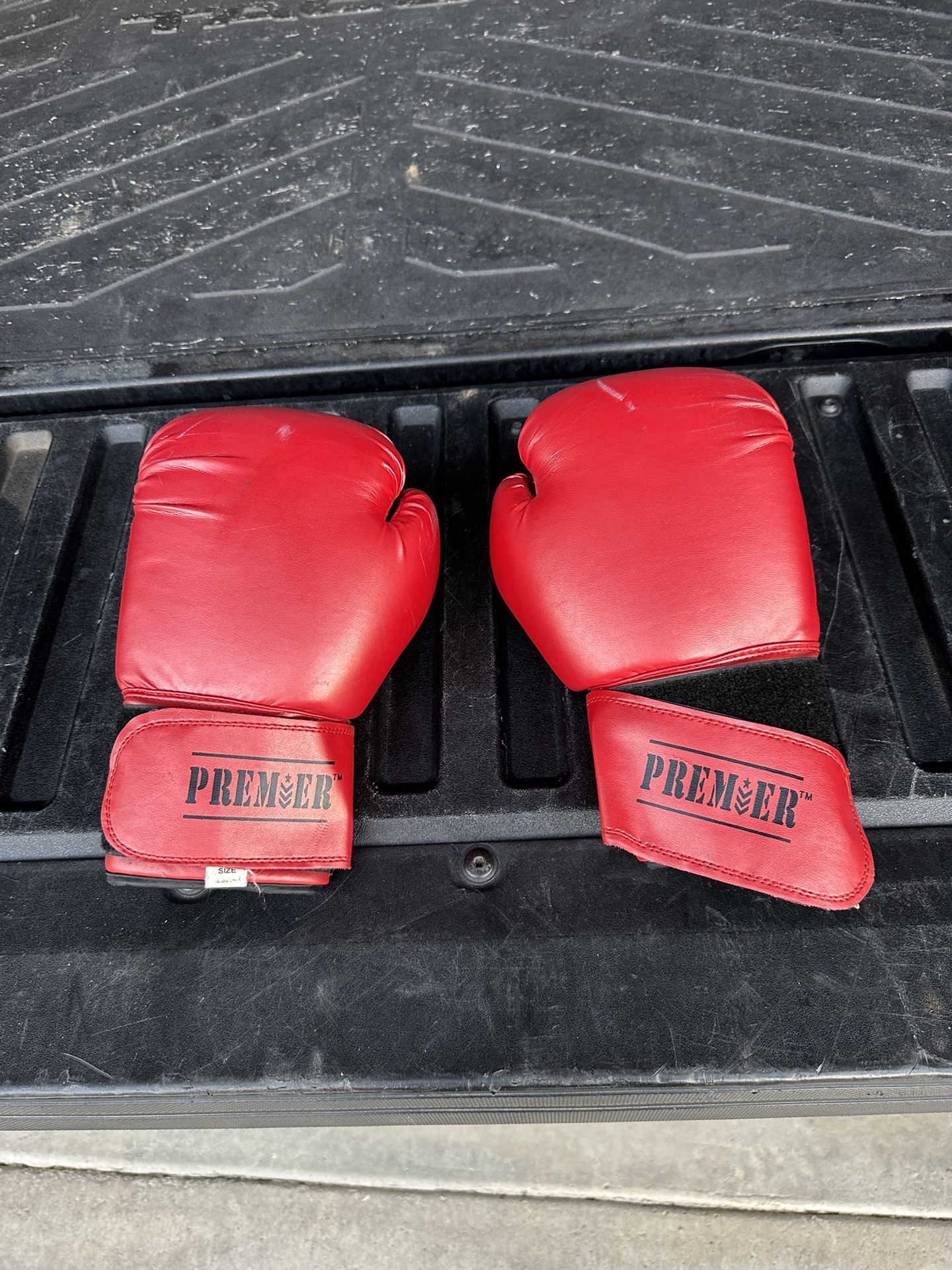 Premier Boxing Gloves