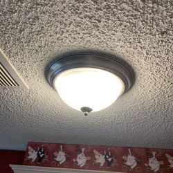 Flush Mount Light Fixture