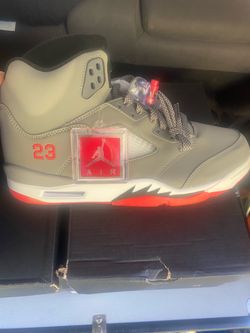 Grey wolf Jordan