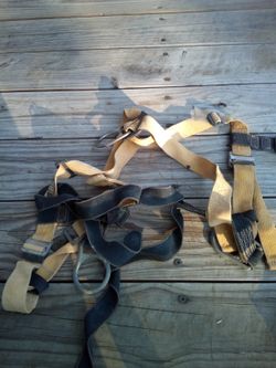 Safety harness