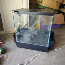 Fish Tank With Filter