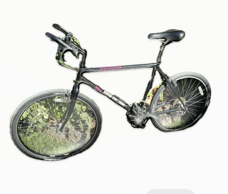 Bike Specialized Rock Hopper
