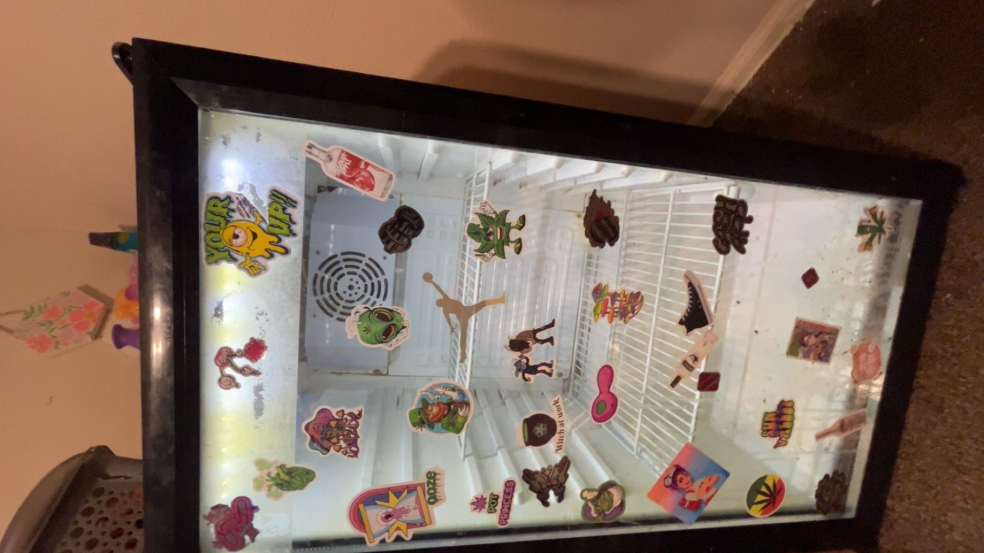 3 Ft Mini Fridge With Led