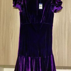 chic new deep purple velvet dress size 12/14