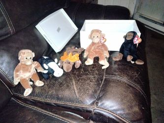 Beanie Babies