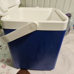 Ice Cooler Holds a six pack