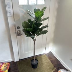 Artificial Fiddle, Leaf Fig Plant