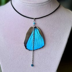 Natural Butterfly 🦋