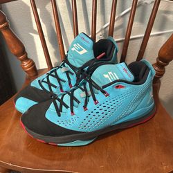 Chris Paul Air Jordans 11