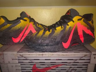 Mens ja 3 raptors
