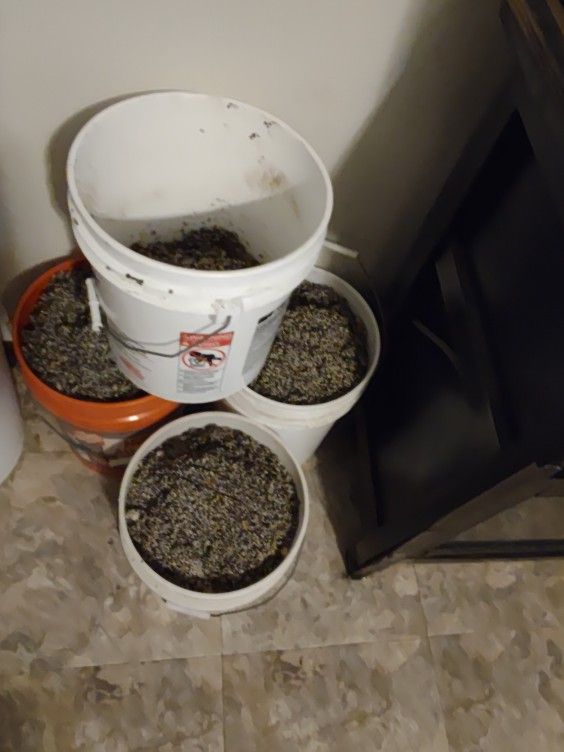 Substrate $30 a bucket