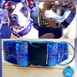 2 inch wide Aqua Blue Dog Collar with Blue paw charm