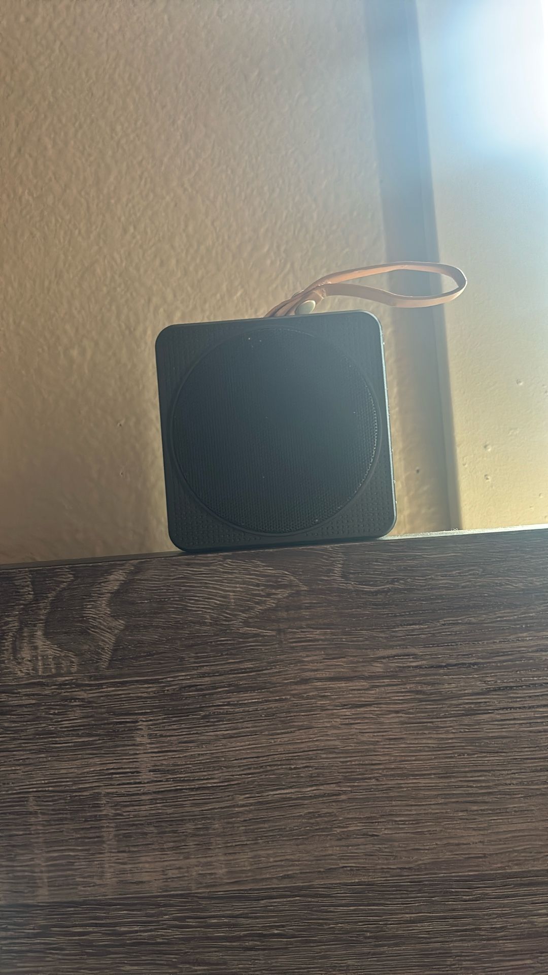 Speaker
