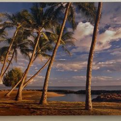 Palm Tree Wall Art 