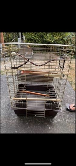 Bird Cage