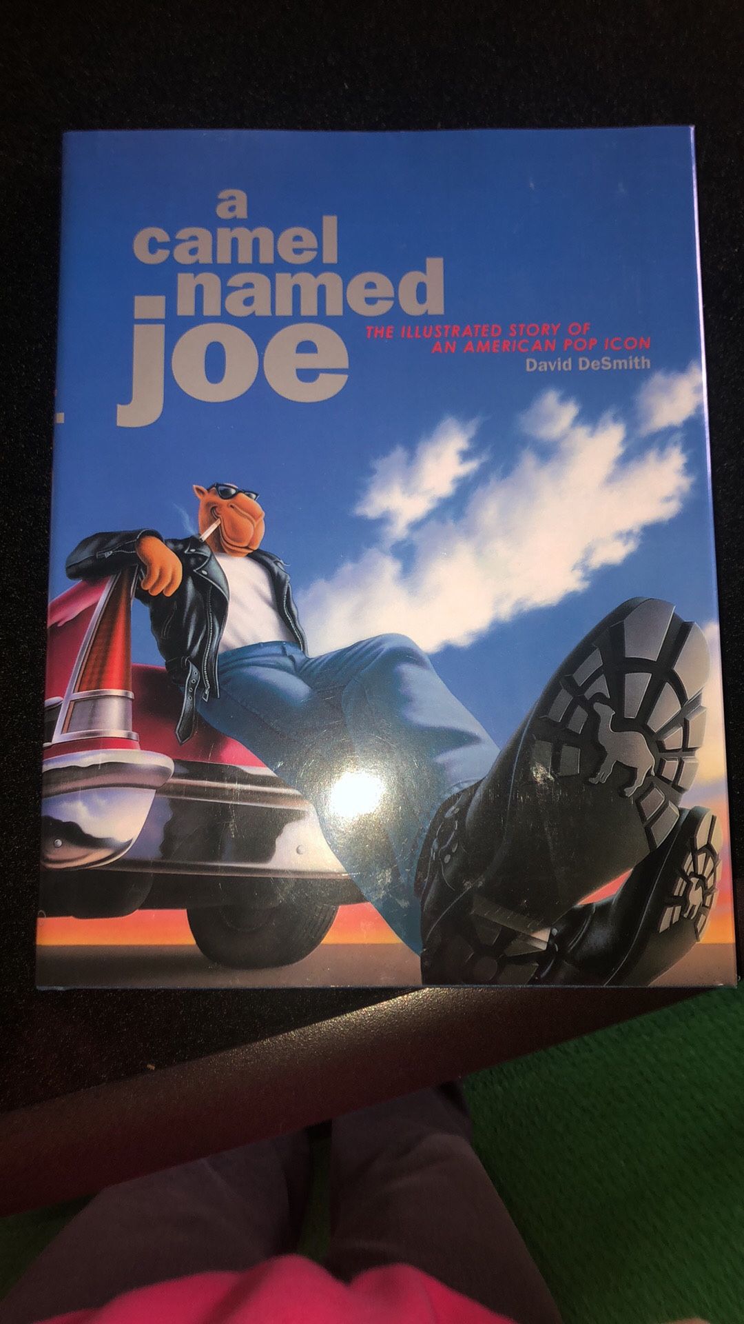 Camel Joe