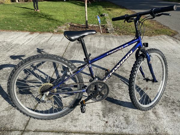 schwinn frontier mountain bike 1995