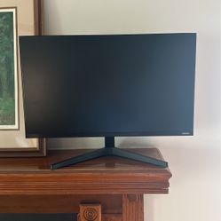 Computer Monitor 