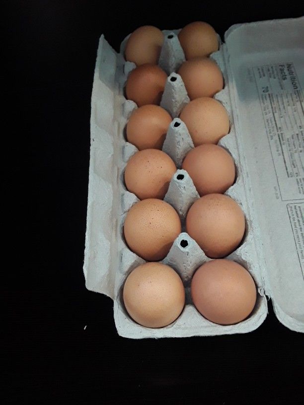 Fresh Organic Brown Eggs