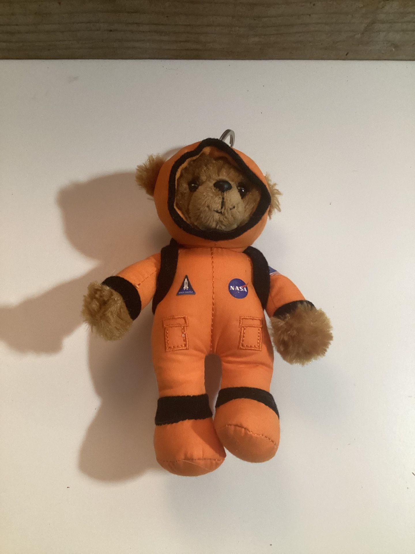 NASA Bear From Kennedy Space Center