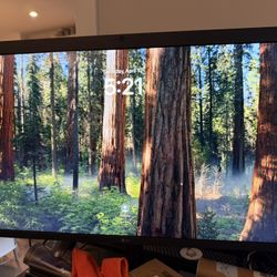 LG Ultrafine 5K 