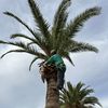 Phoenix Arizona 