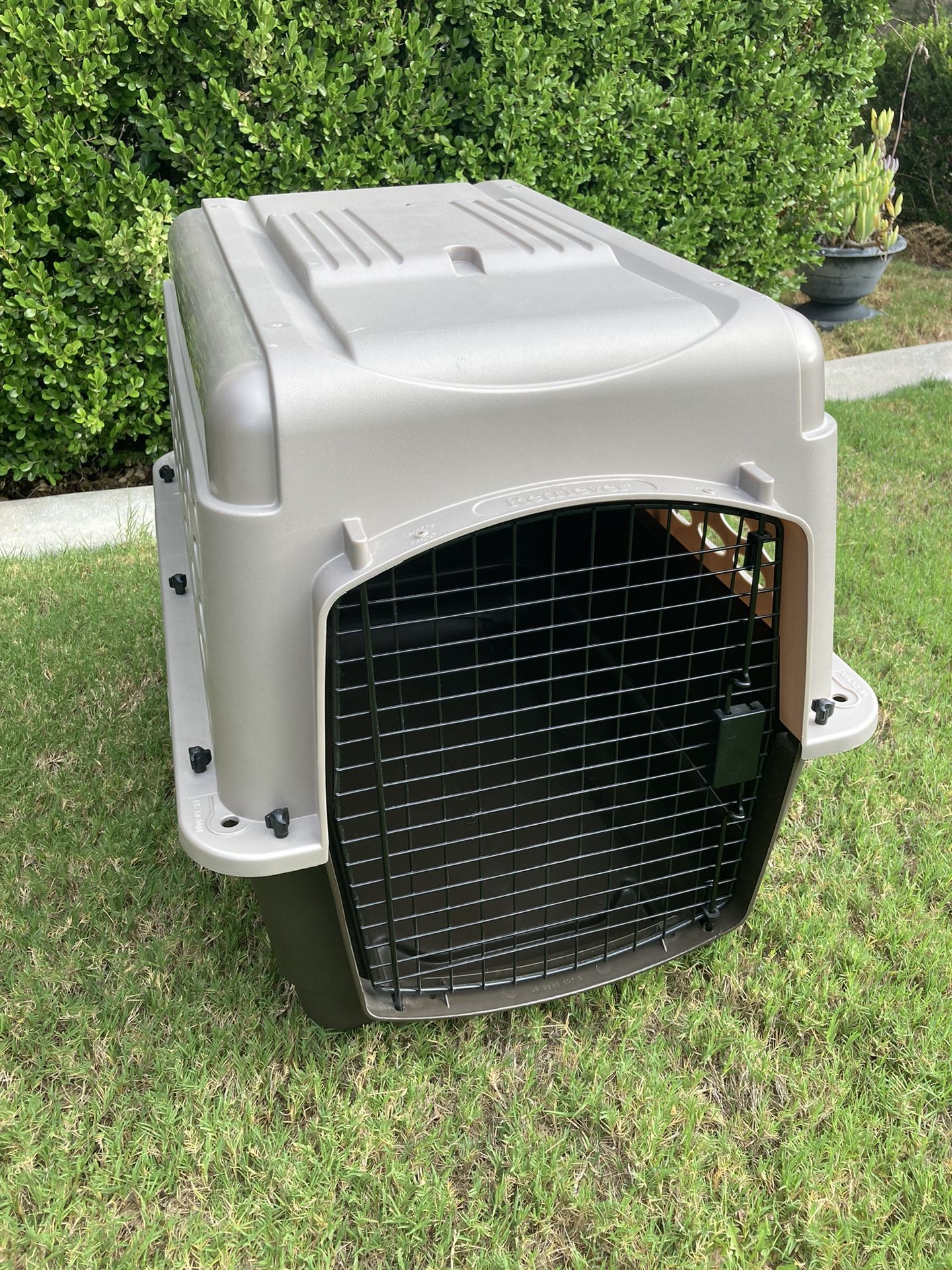 Dog Crate