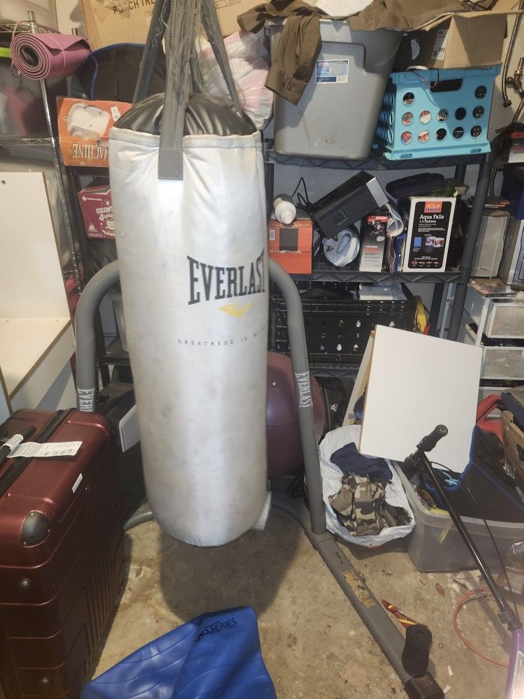 Everlast Punching Bag With Stand