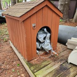 Dog HOUSE 