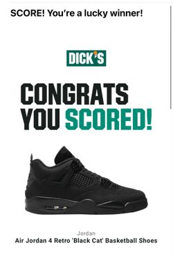 Brand New Authentic Jordan 4 Black Cats