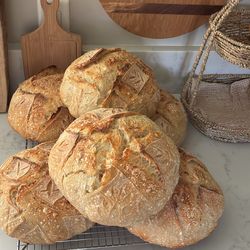 Sourdough bread/ starter