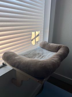 2 Window Pet or Cat Beds