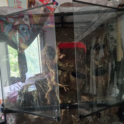 Homemade Terrium Tank