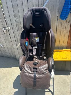 Nuna exec car seat