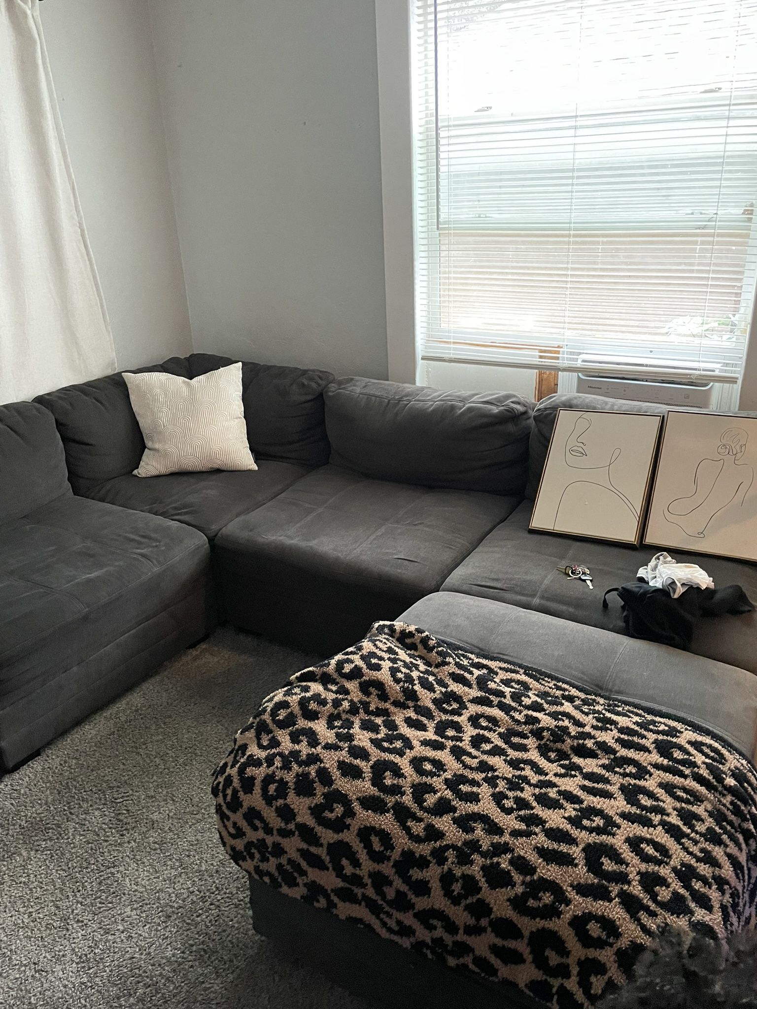 Gray Sectional Couch