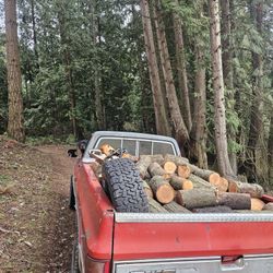 Nice load of perfect size Fur rounds from dead standing  trees 