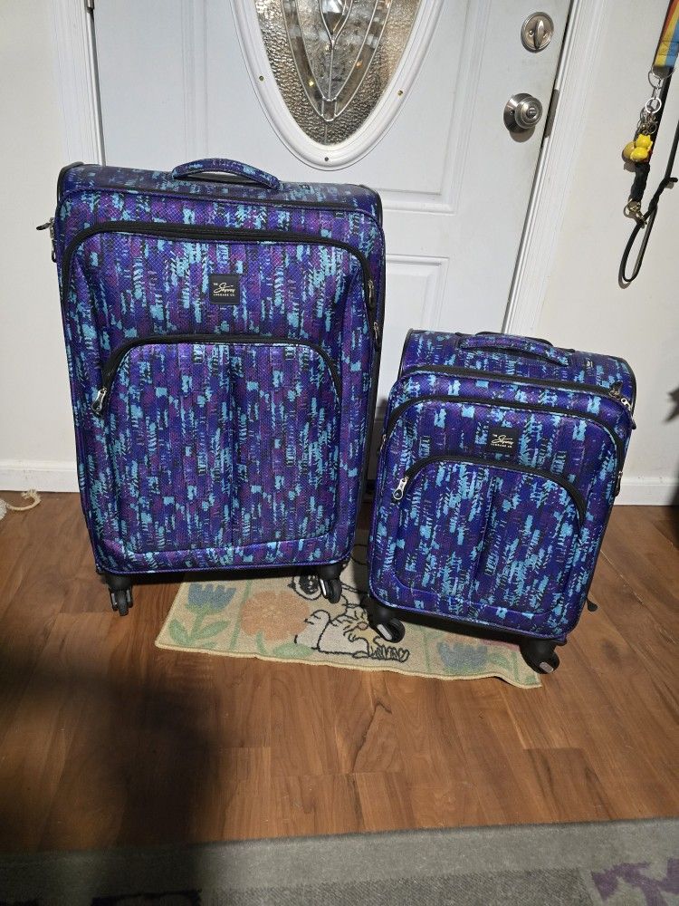 Oasis, skyway, carry on 28" and check in 20" luggage.