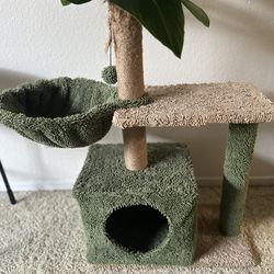 Palm Cat Tree