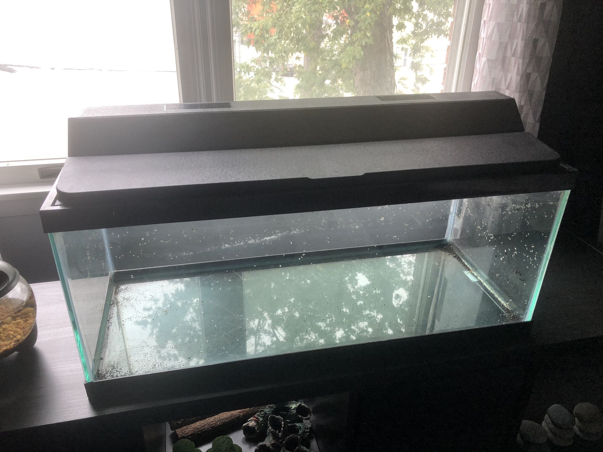 20g Long Fish Tank Aquarium w/ Full Top & Light