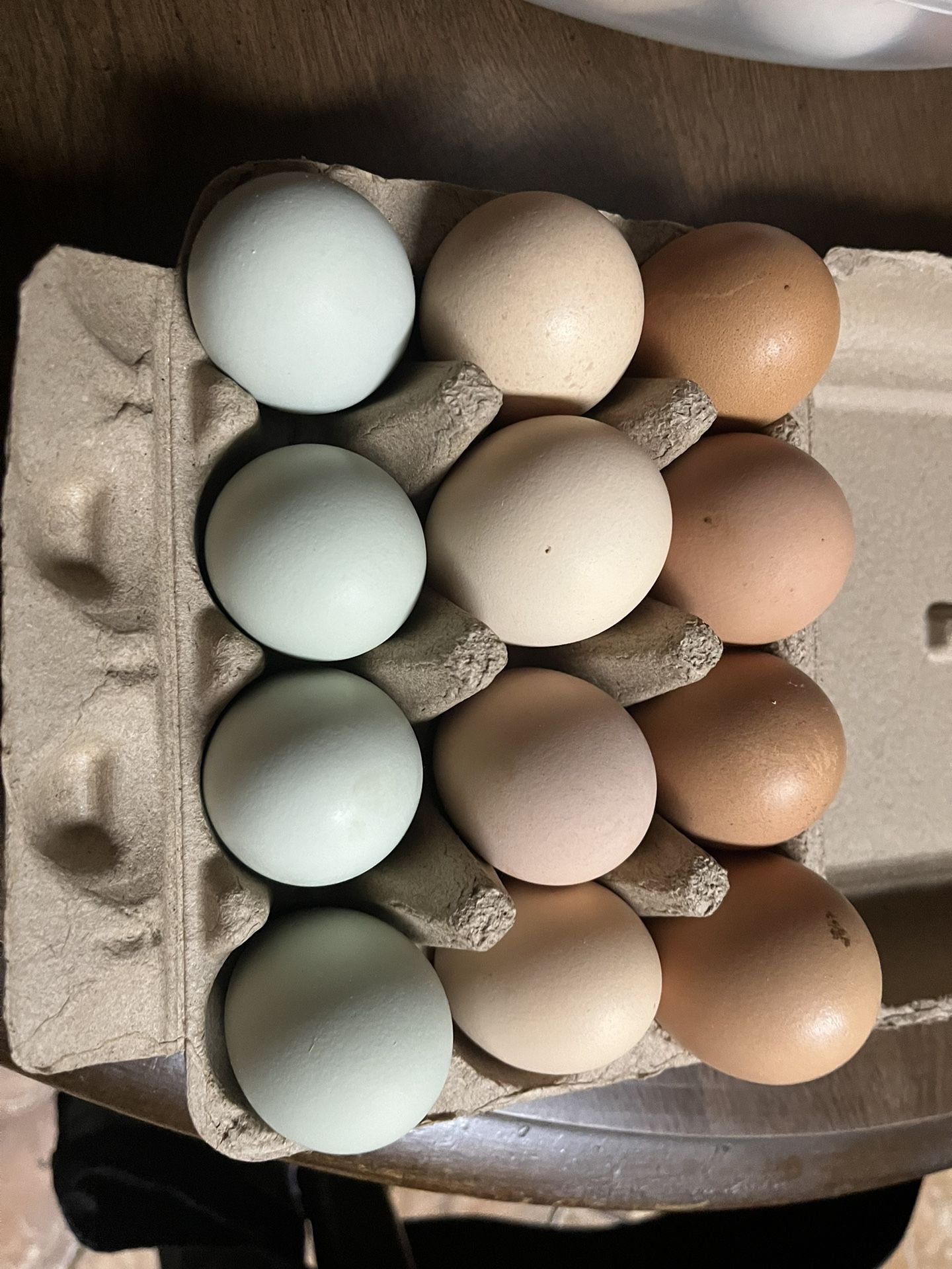 Organic Eggs