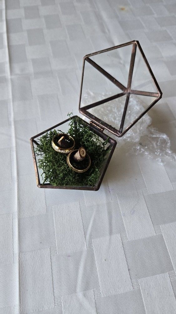 Glass Ring Box w/artificial Moss & White Sand
