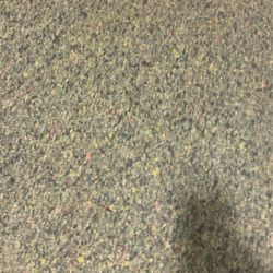 Carpet Pad 