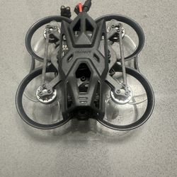 Pavo Femto With O4
